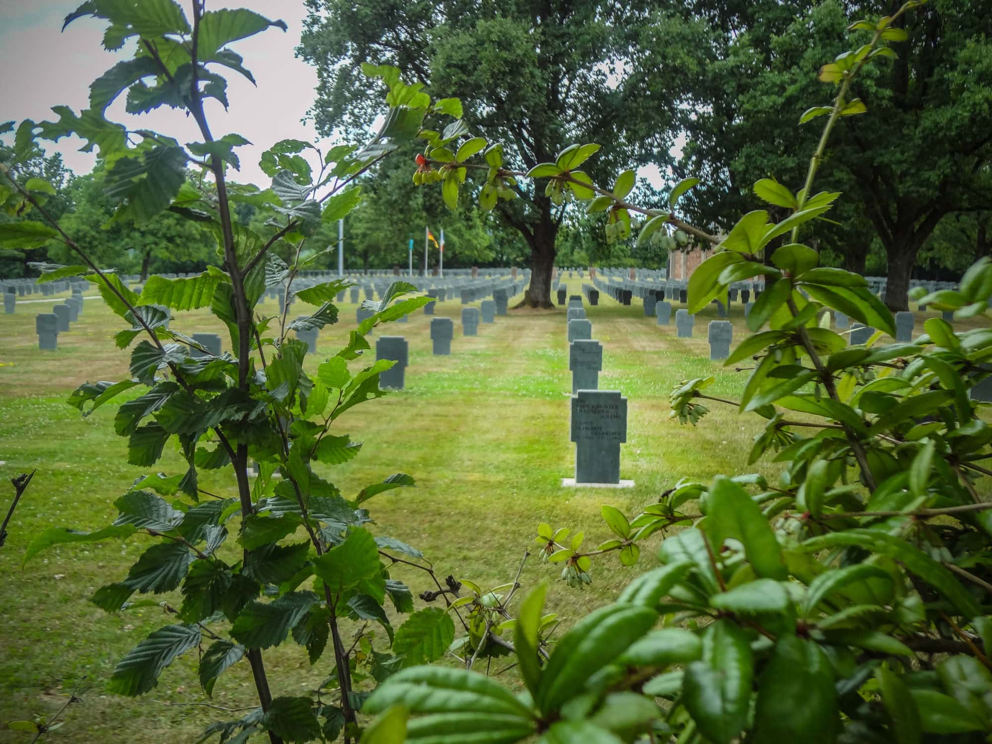 Près de 16 000 soldats et civils allemands tués pendant les deux dernières guerres reposent dans le cimetière militaire de Niederbronn-les-Bains. (Photo : Fabien Nouvène)