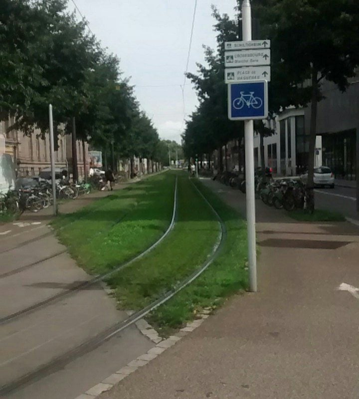 Elle traverse Strasbourg à vélo pour repérer les bonnes choses et ne pas recopier les mauvaises