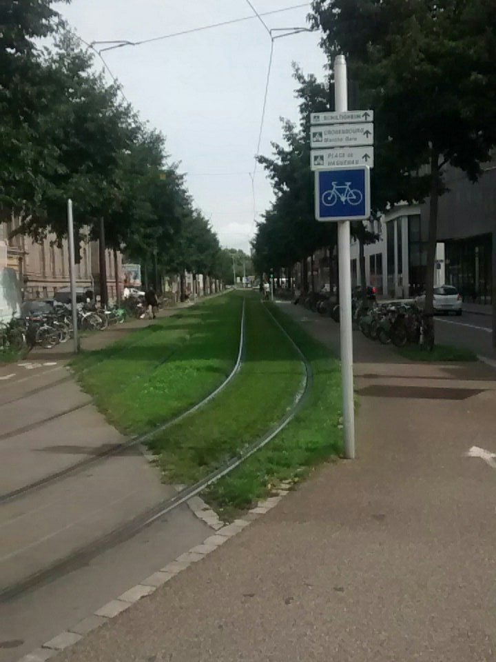 Elle traverse Strasbourg à vélo pour repérer les bonnes choses et ne pas recopier les mauvaises