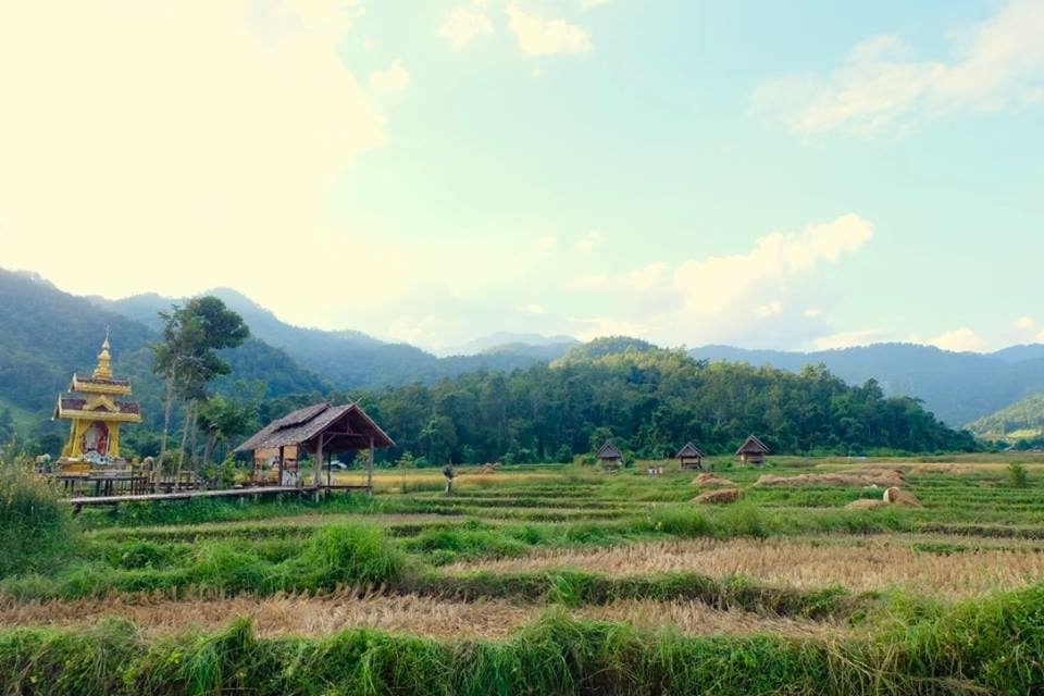 Au nord de la Thaïlande, hospitalité et paysages époustouflants