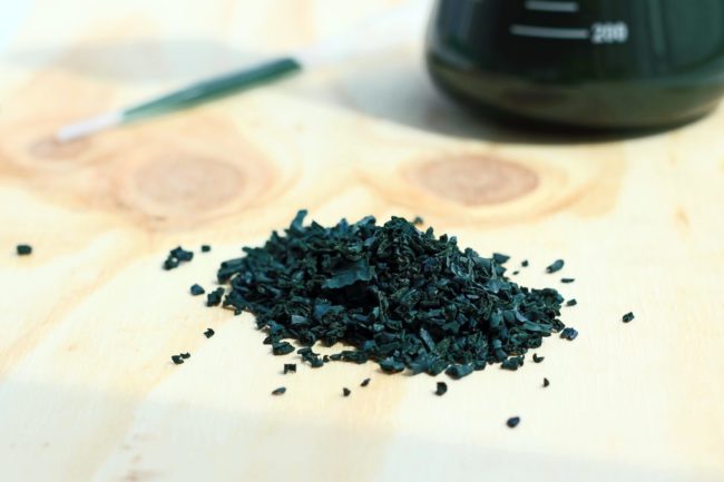 La spiruline ou algue bleue-verte est utilisée comme composant ou complément alimentaire, ainsi qu’en cosmétique (Photo Algae Natural Food)