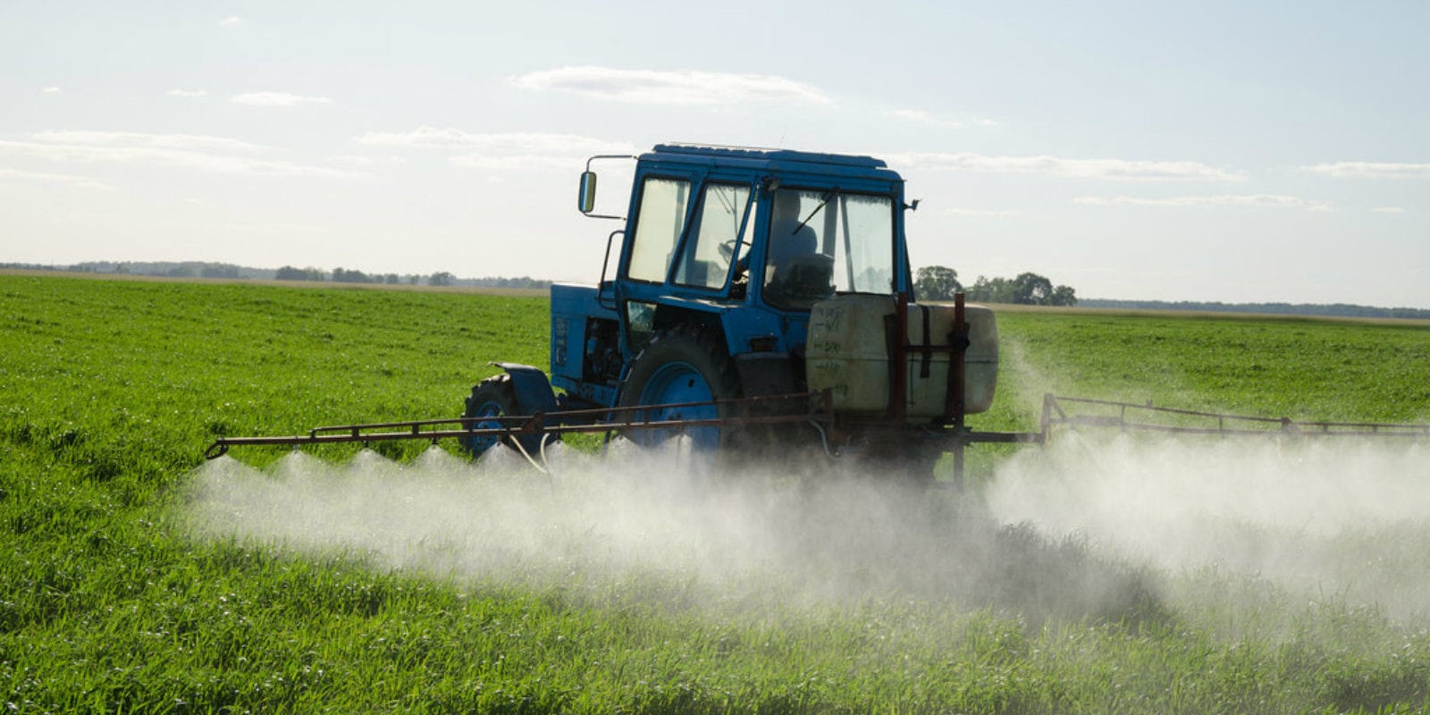Selon une étude d’Alsace Nature, les fabricants de pesticides omettent des données de toxicité sur leur étiquetage européen