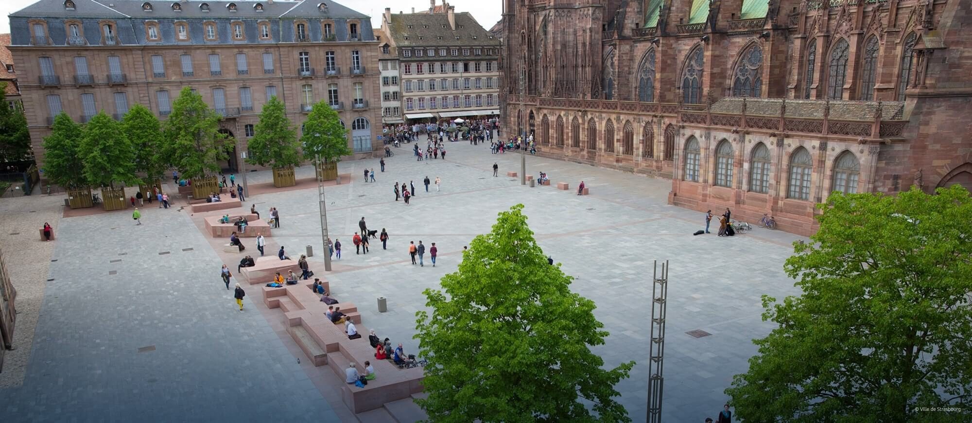 En mai, un mammouth de 12 000 ans sur la place du Château