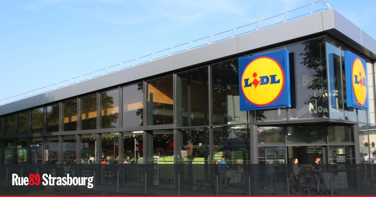 Six nouveaux centres commerciaux Lidl en Alsace d'ici 2019