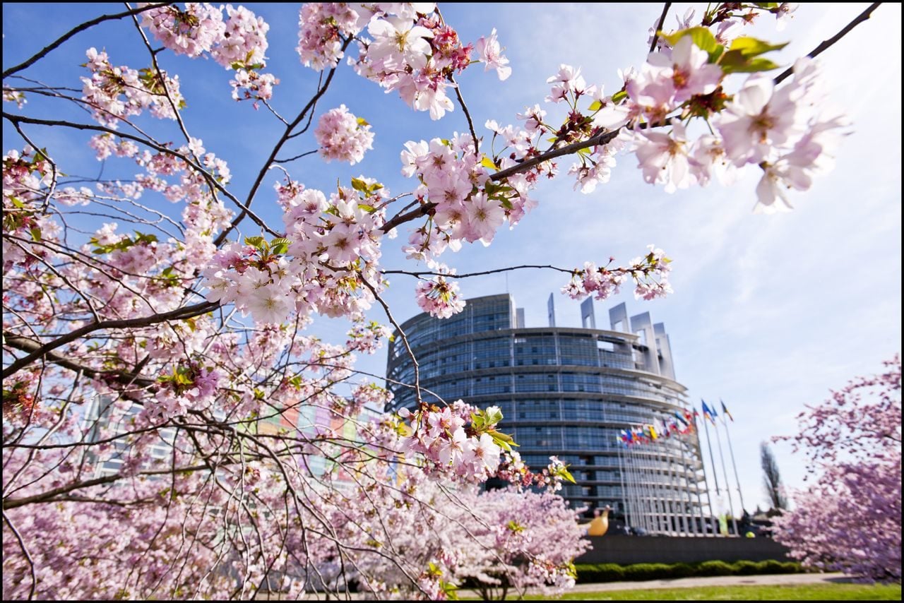 Le Parlement européen au printemps (Photo Pietro Naj-Oleari / European Parliament / cc)