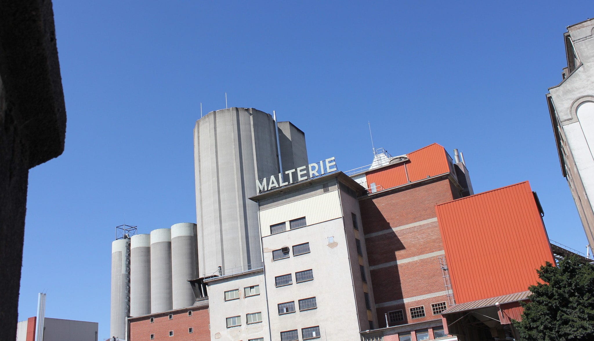 Les silos de la malterie SMA, face au terrain Coop, au port du Rhin. Photo Nathalie Stey