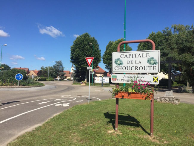 A Krautergersheim, plusieurs choucroutiers importent du chou qui a poussé ailleurs, en Pologne par exemple. (Photo CS / Rue89 Strasbourg / cc)