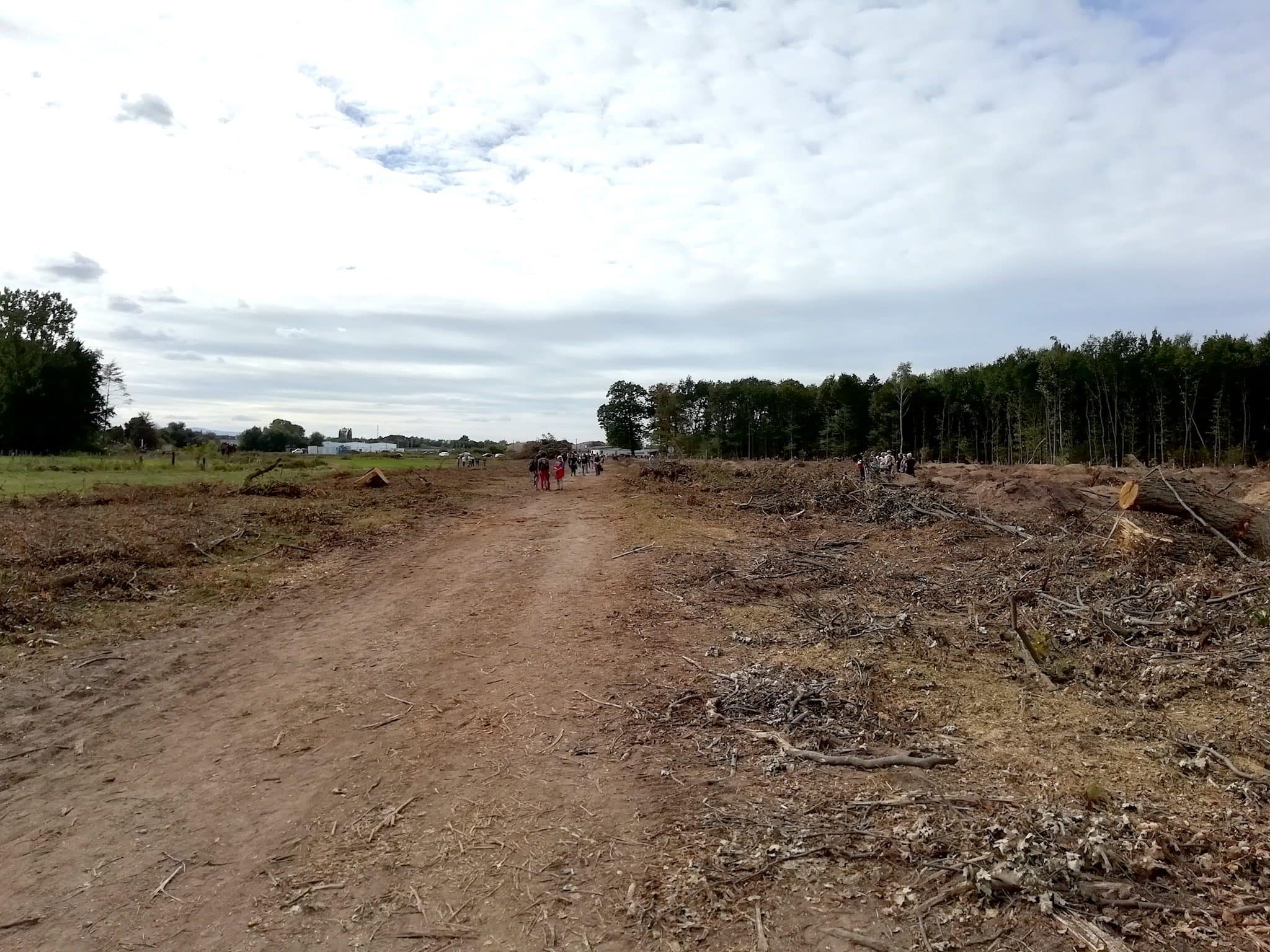 « Aux arbres citoyens », thérapie collective des opposants au GCO à la forêt du Krittwald