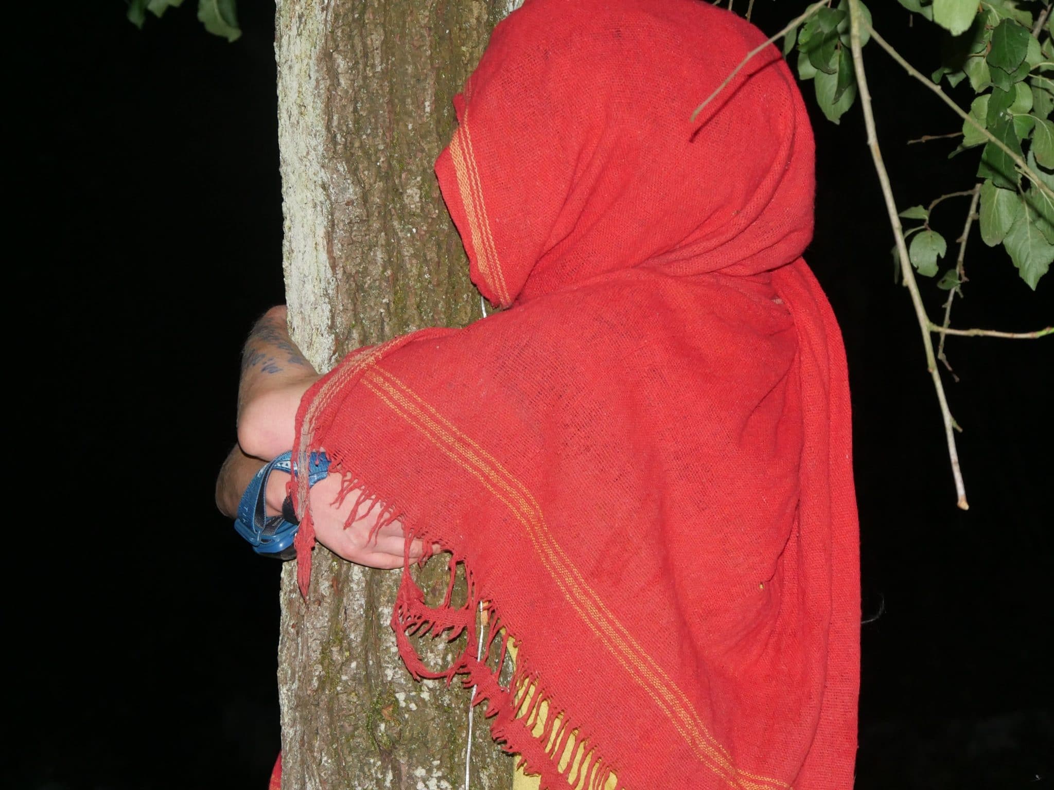 Des militants opposés au GCO ont tenté de s'accrocher aux arbres (Photo GK / Rue89 Strasbourg / cc)