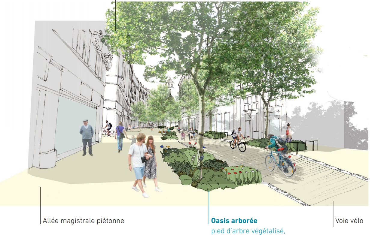 Projet de piétonnisation de la rue du 22-Novembre (document Ville de Strasbourg)