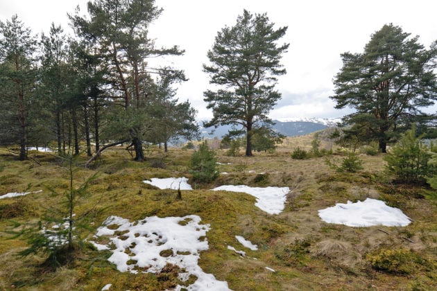 Benoit a sa propre manière de parcourir les Vosges (Photo Frédéric Mercenier)