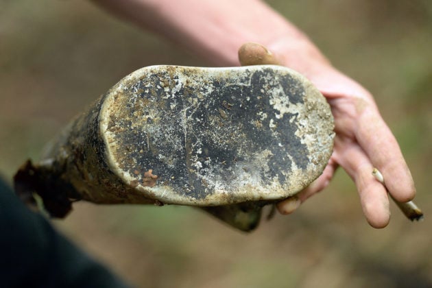 Les archéologues déplorent que ces objets soient retirés de leur contexte (Photo Frédéric Mercenier)