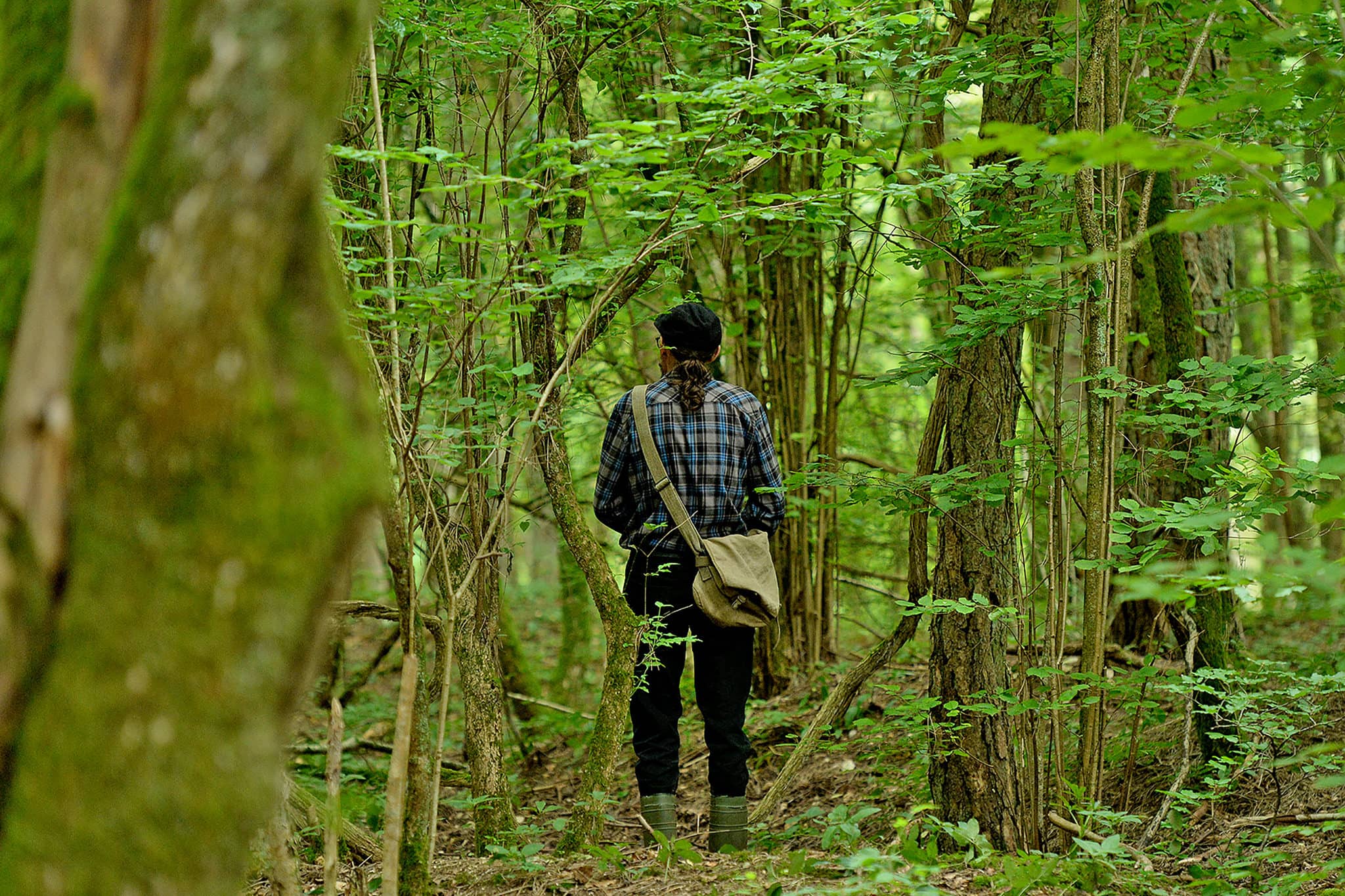 Didier ne craint pas ces forêts aux sols chargés d'explosifs... (Photo Frédéric Mercenier)