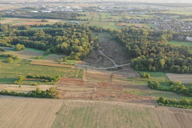 Les travaux de déboisements ont largement commencé au nord de Strasbourg, comme ici à Kolbsheim (doc remis)