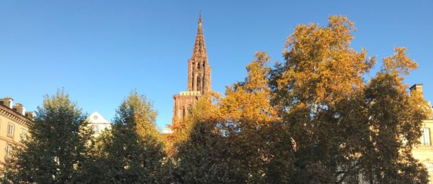 Chaleur et soleil en novembre, c'est inquiétant (Photo JC Anna)