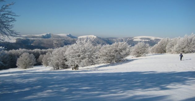 Sur les hauteurs du Schnepfenried, une vue imprenable sur le massif vosgien (Photo P.R)