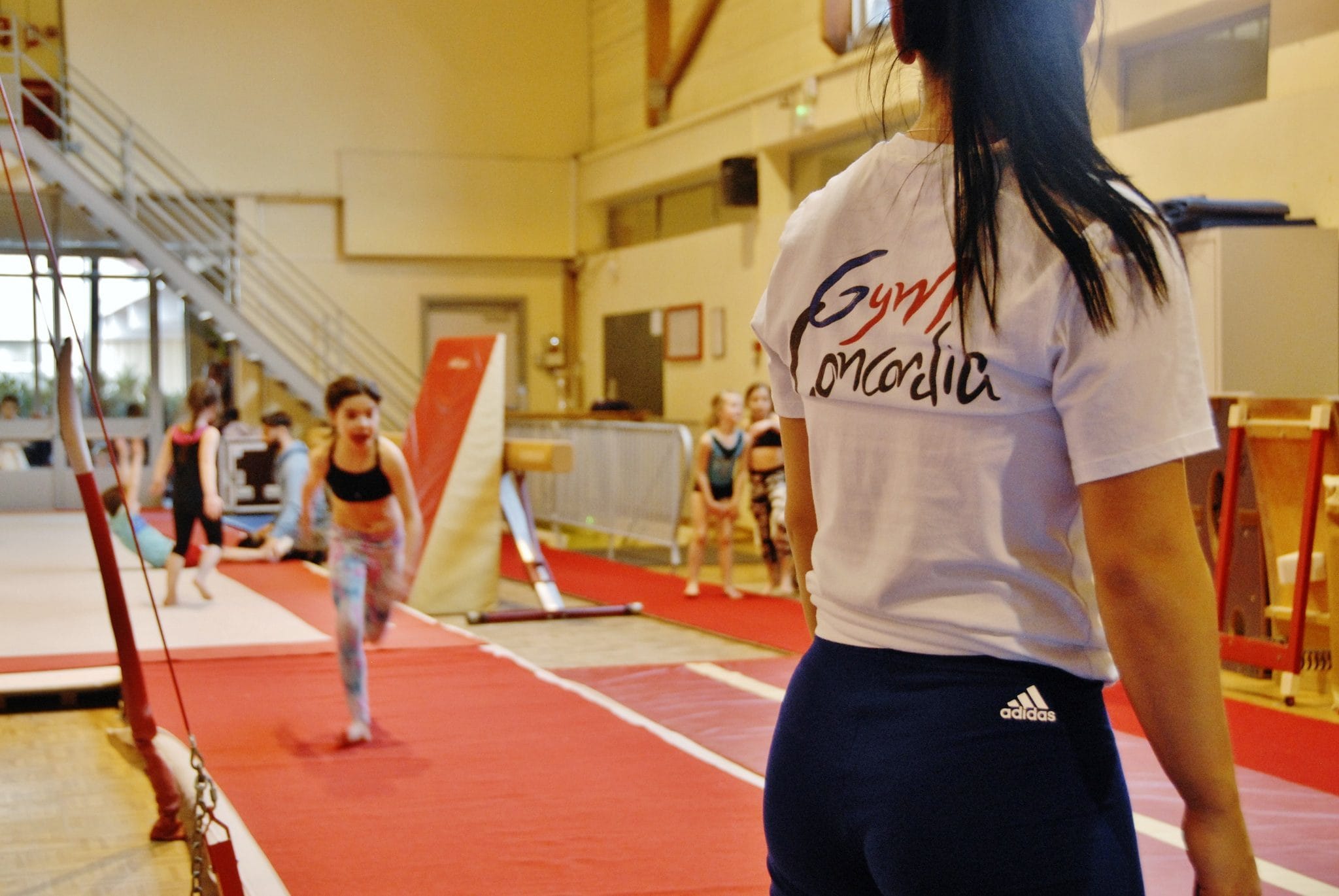 Cinq ans de bras de fer entre le club de gym Concordia et la Ville de Schiltigheim