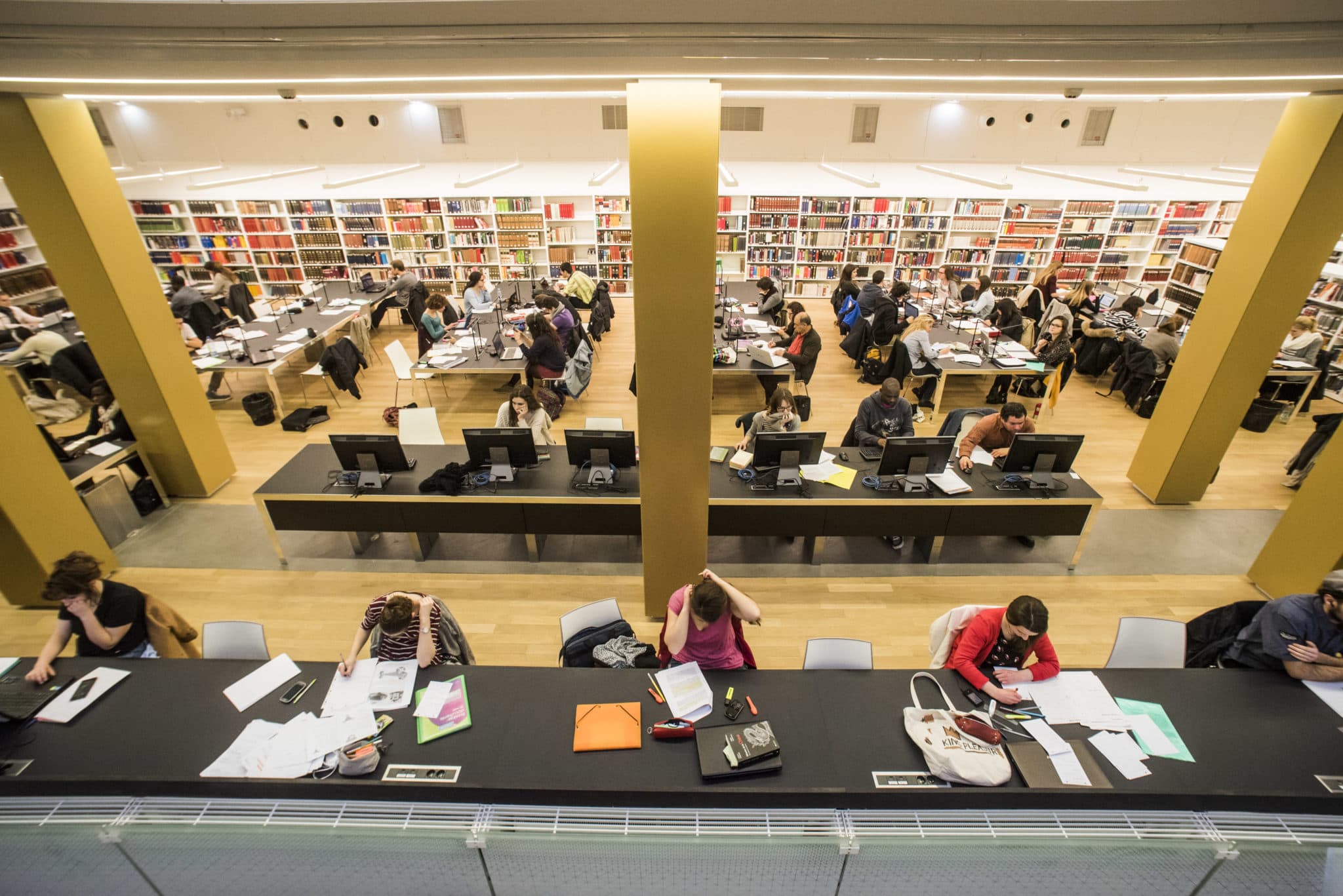 Vers une rentrée universitaire sur le campus pour les nouveaux arrivants et à distance pour les autres