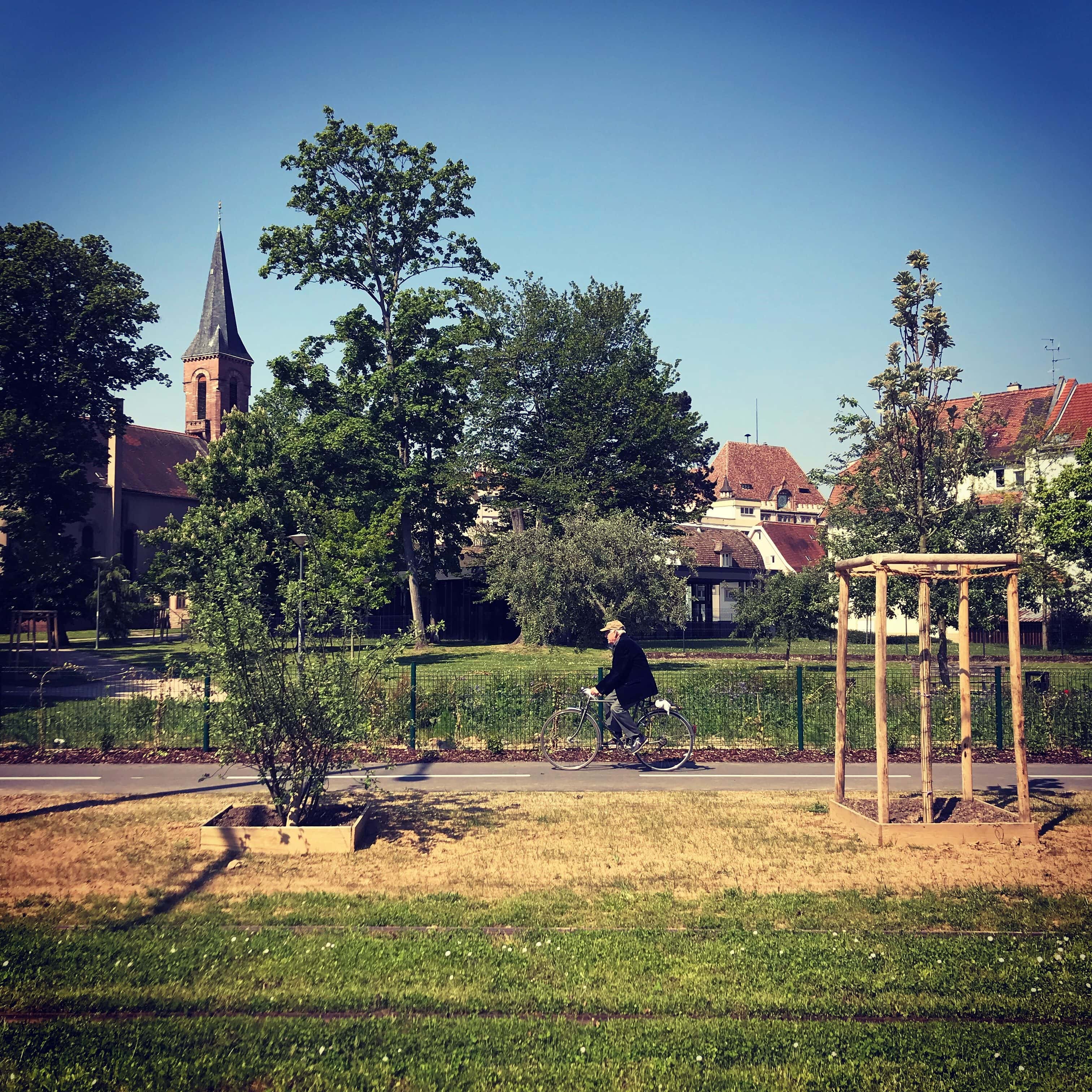 À la Robertsau, le « tram-jardin » s’arrête à mi-chemin