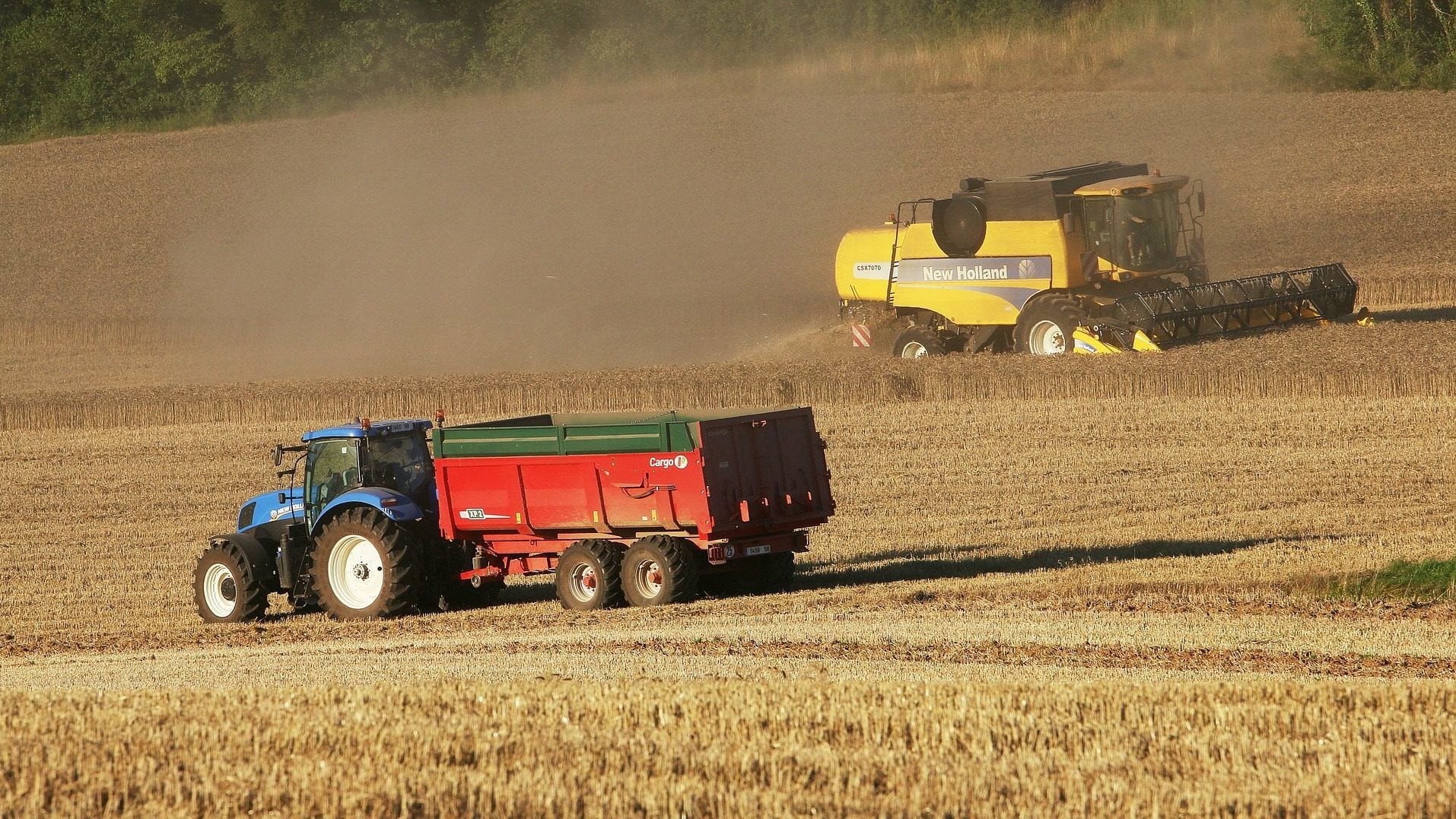 GCO : L’agriculture intensive s’impose dans la compensation des terres