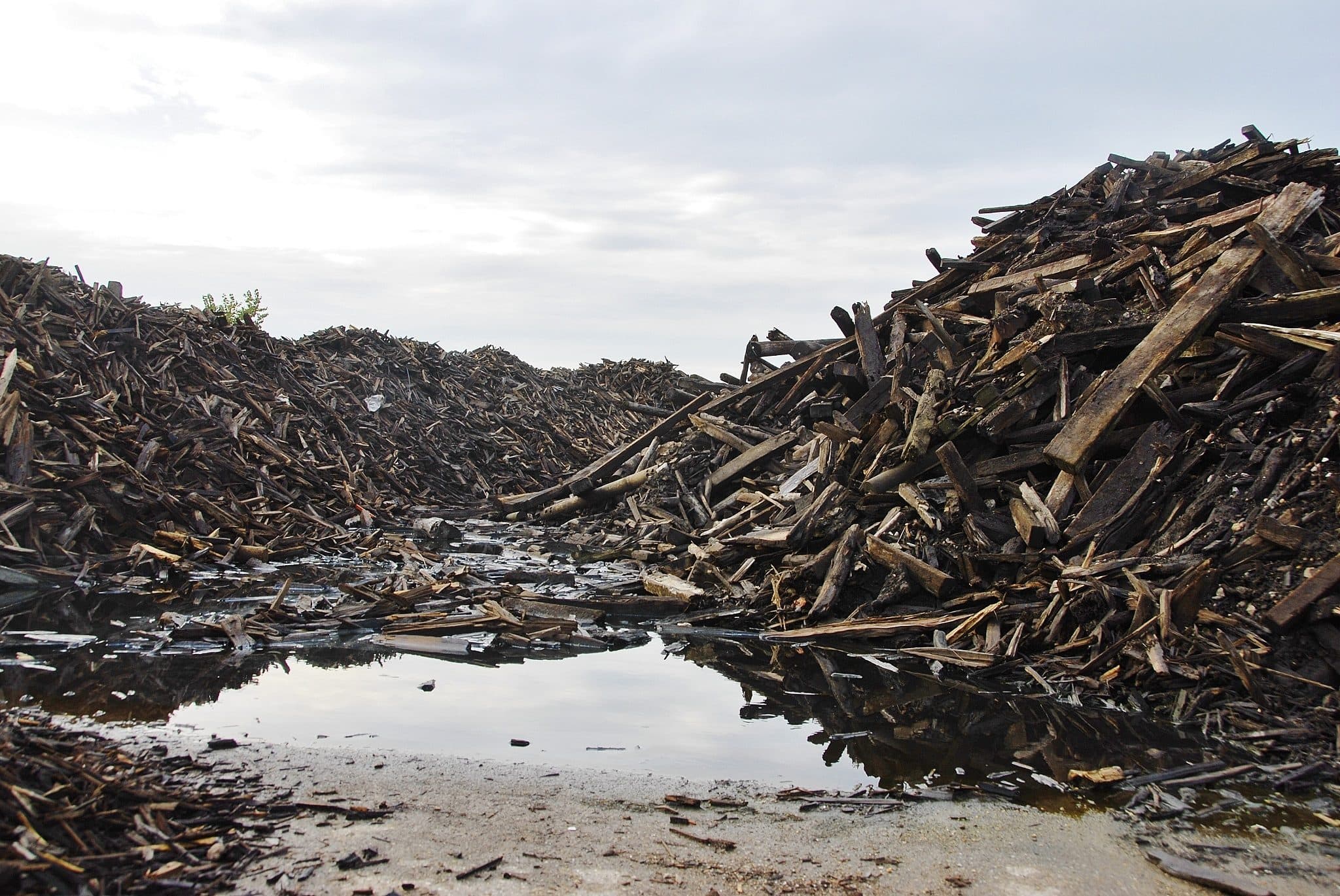 Des milliers de tonnes de bois toxique menacent les riverains et les bassins du Port du Rhin