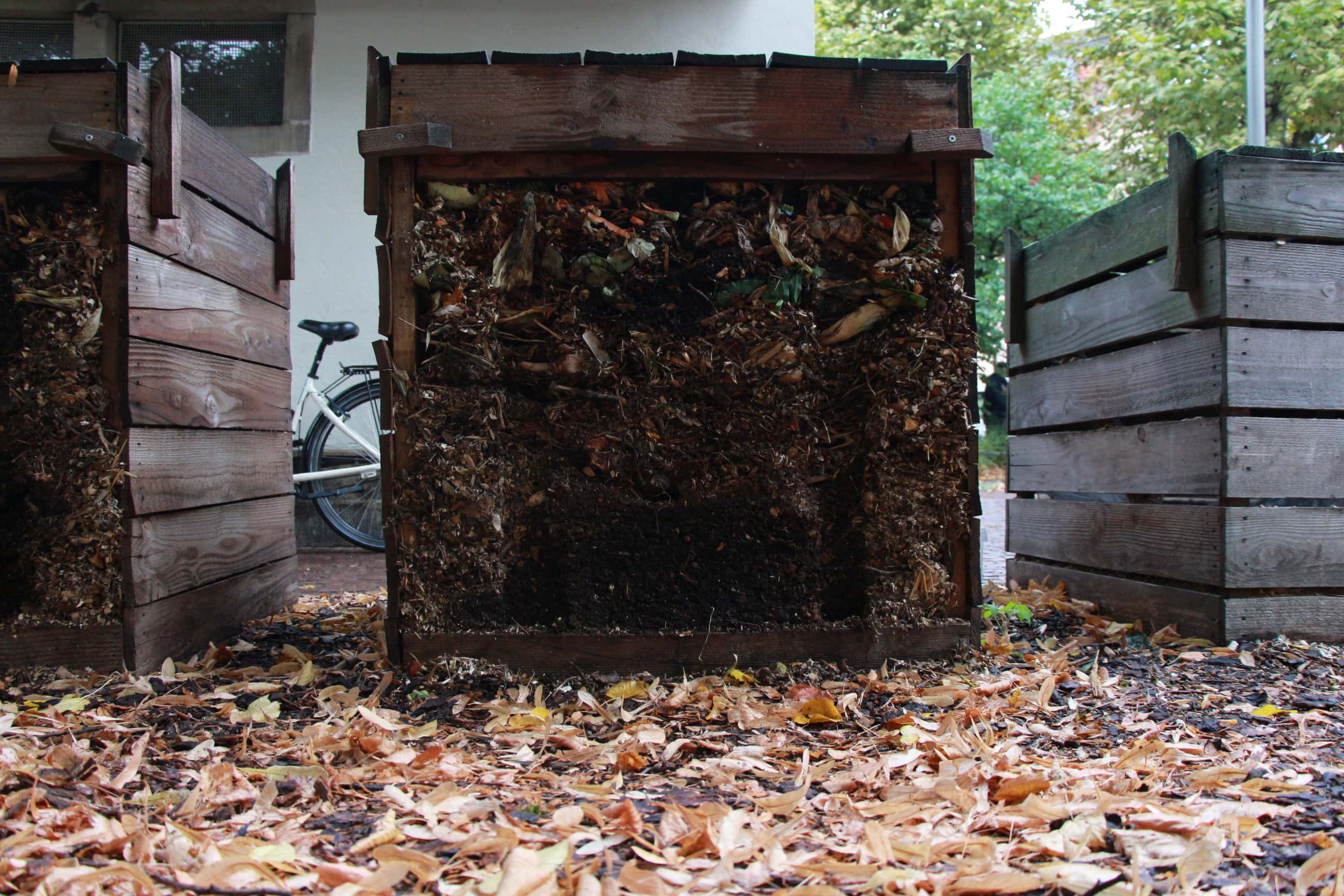 Victimes de leur succès, les bacs à compost saturent