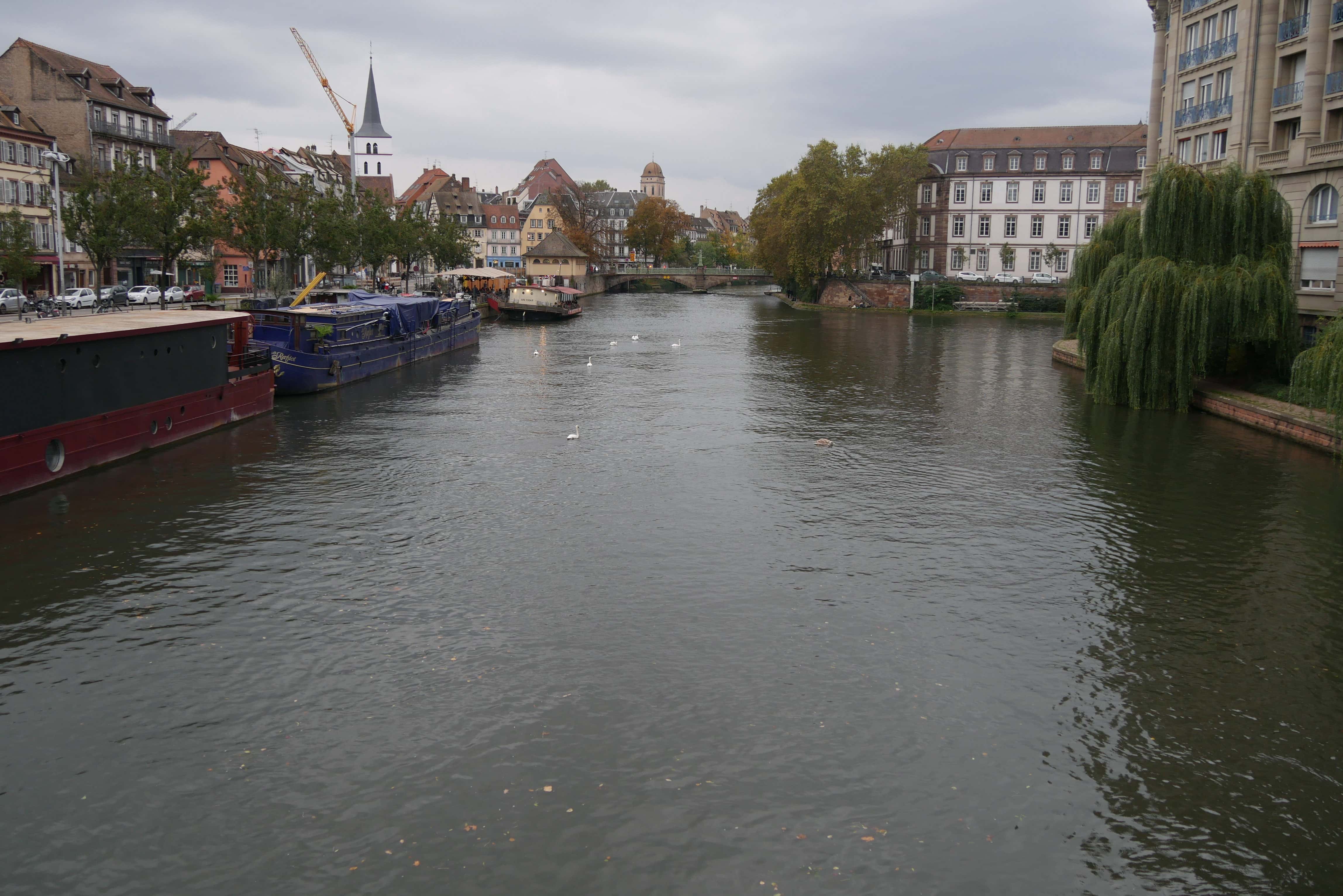 Et si des péniches sur l’Ill remplaçaient les camions à Strasbourg ?