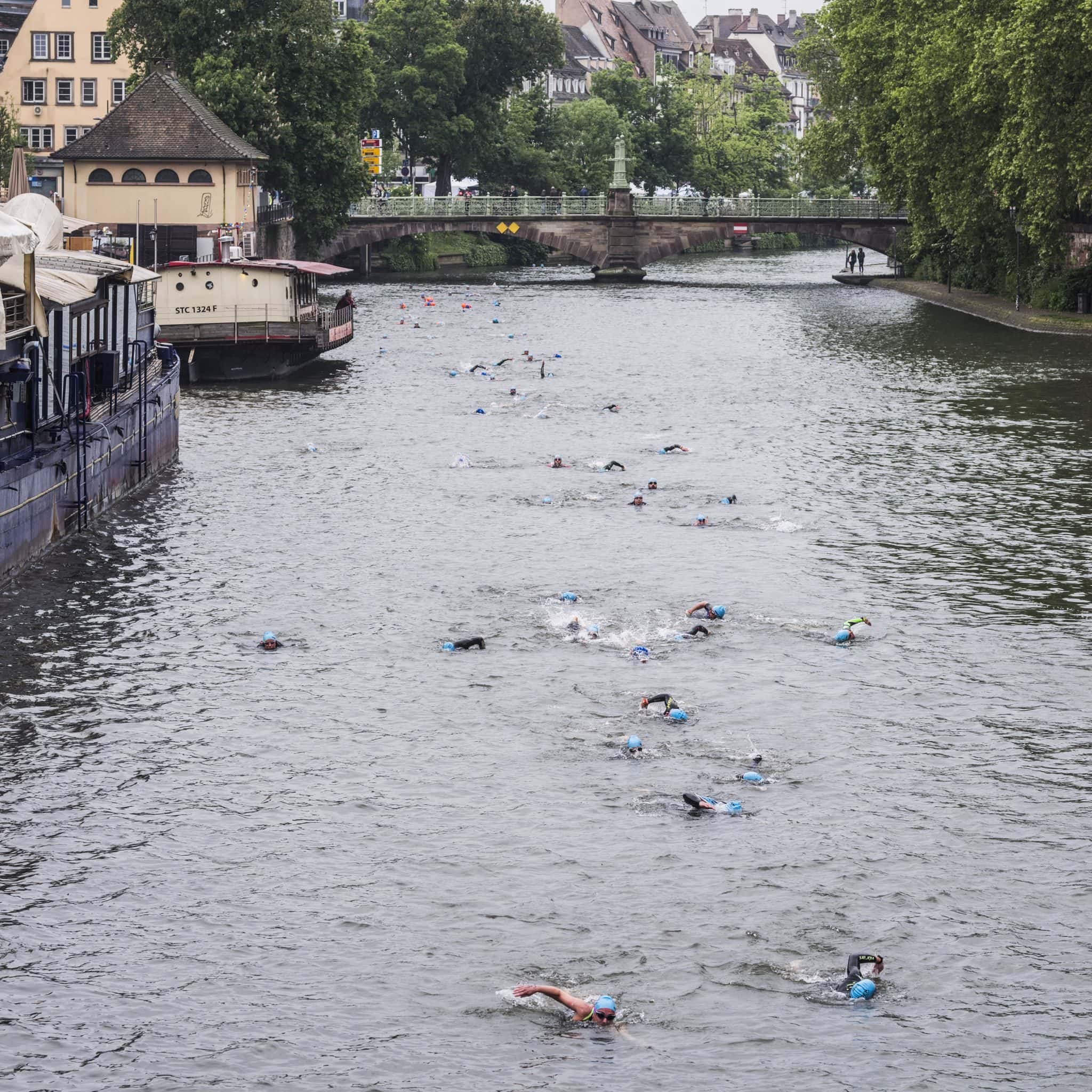 Strasbourg, 19 mai 2019. Open Swim Stars de Strasbourg, compétition de nage libre dans l'Ill, le cours d'eau traversant Strasbourg. nageurs au niveau du quai des pêcheurs. (Photo Pascal Bastien / Divergence)