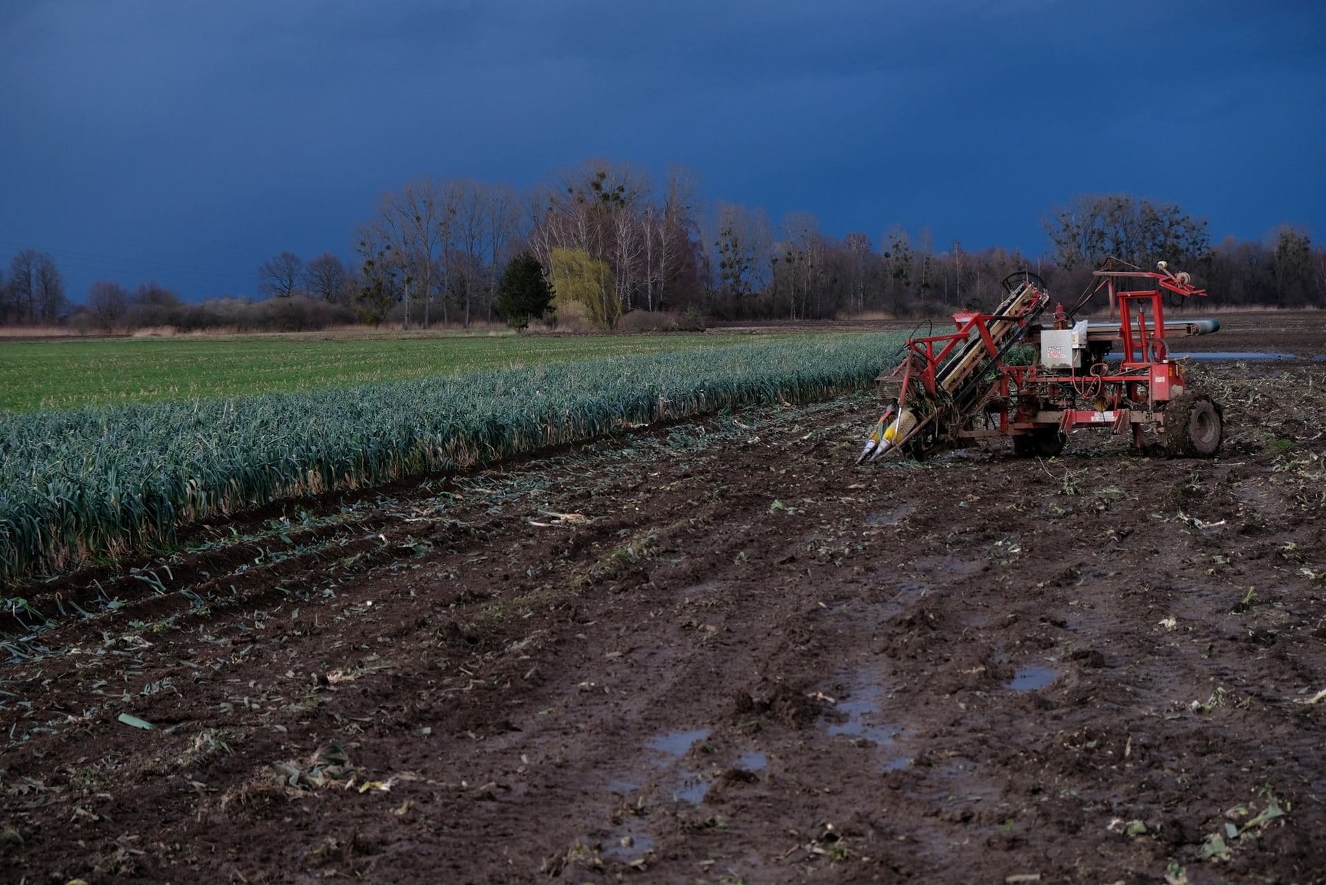 En Alsace centrale, Europa-Park espère construire un complexe hôtelier sur plus de 150 hectares de terres agricoles