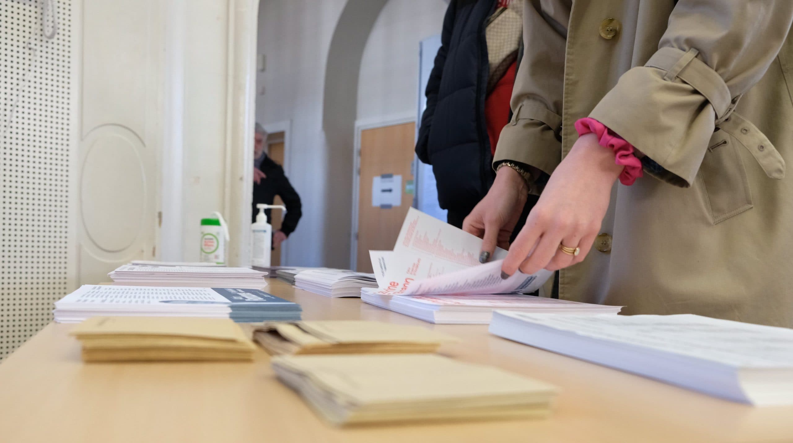Compétences, modes de scrutin et candidats : petit guide pour tout comprendre aux élections départementales et régionales 