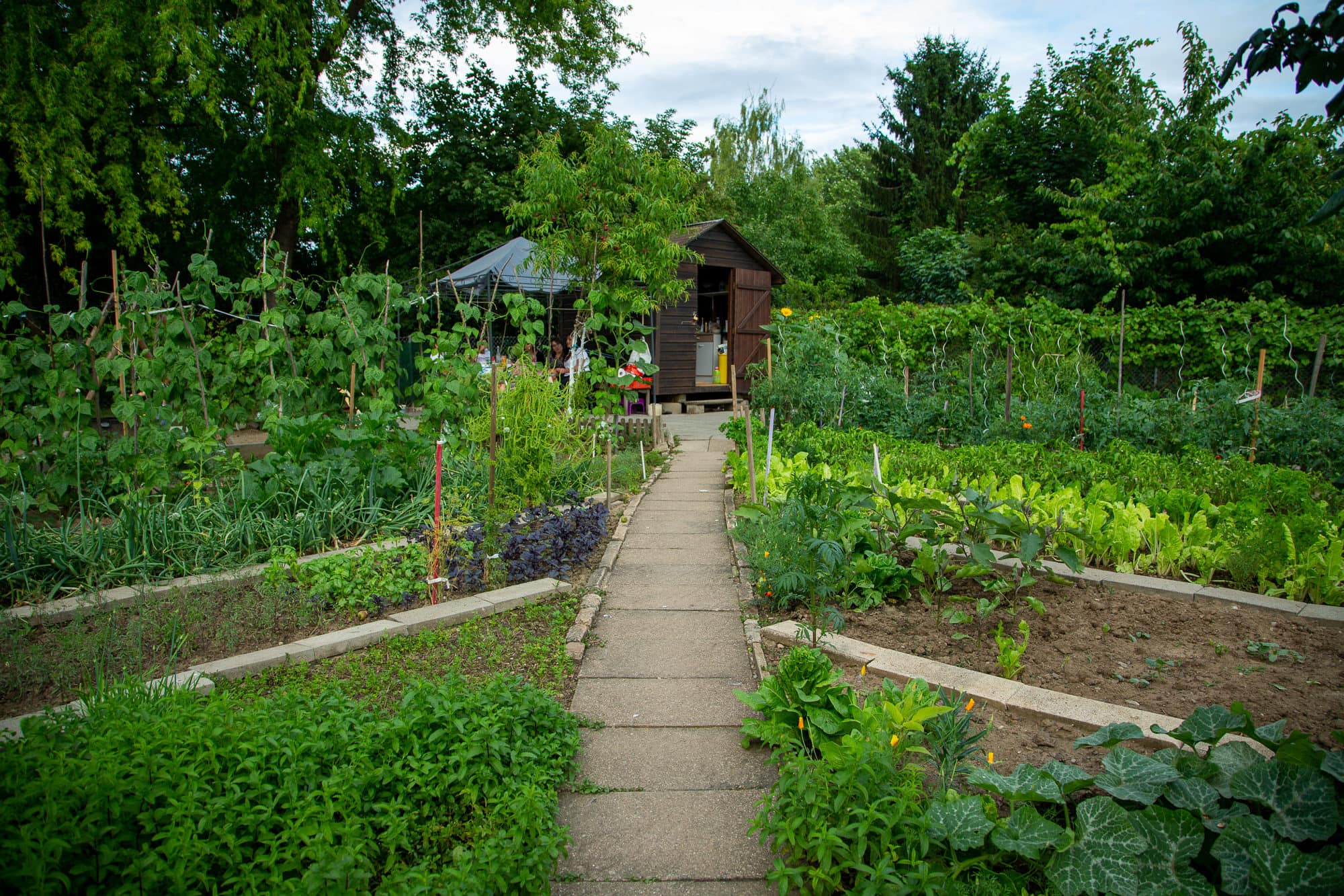 La société rêvée des jardins familiaux