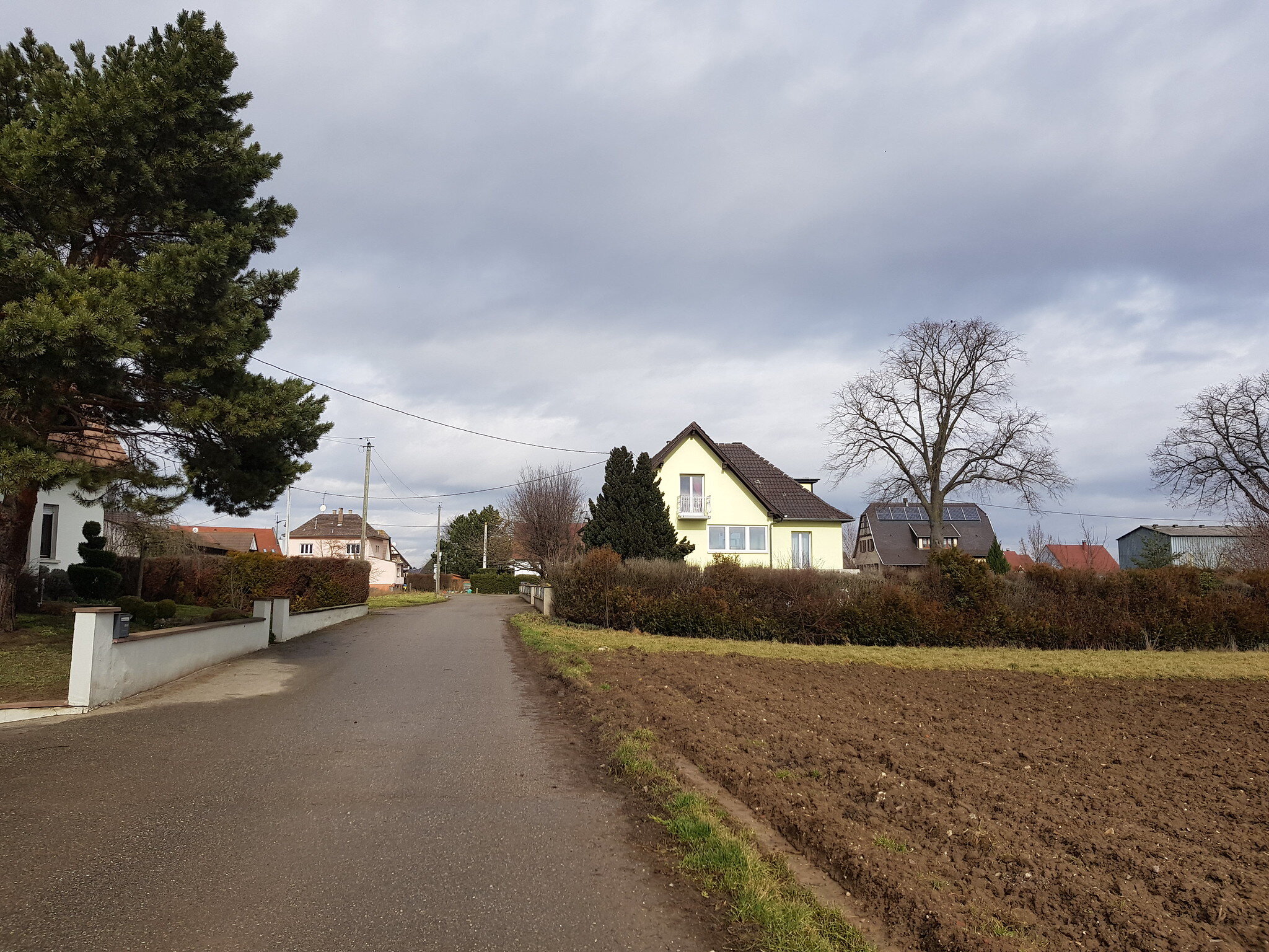 À Schnersheim, silence et gêne face aux liens entre pesticides et cancers