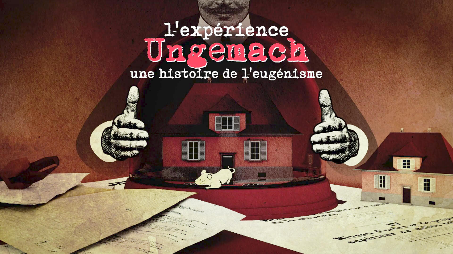« L’expérience Ungemach, une histoire de l’eugénisme », ou quand des Strasbourgeois étaient pris pour des rats de laboratoire