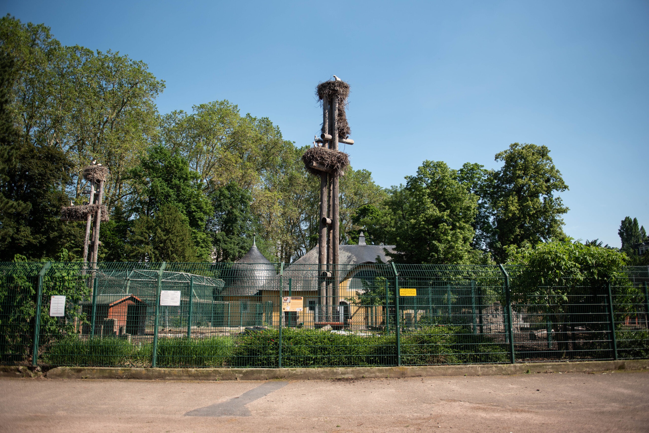 Zoo de l’Orangerie : la Ville veut obtenir de l’association gestionnaire la libération des animaux sauvages