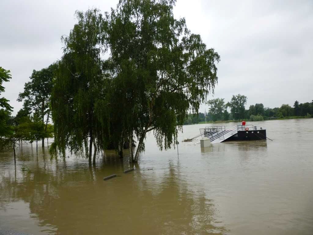 Changement climatique : l’Alsace menacée de graves inondations