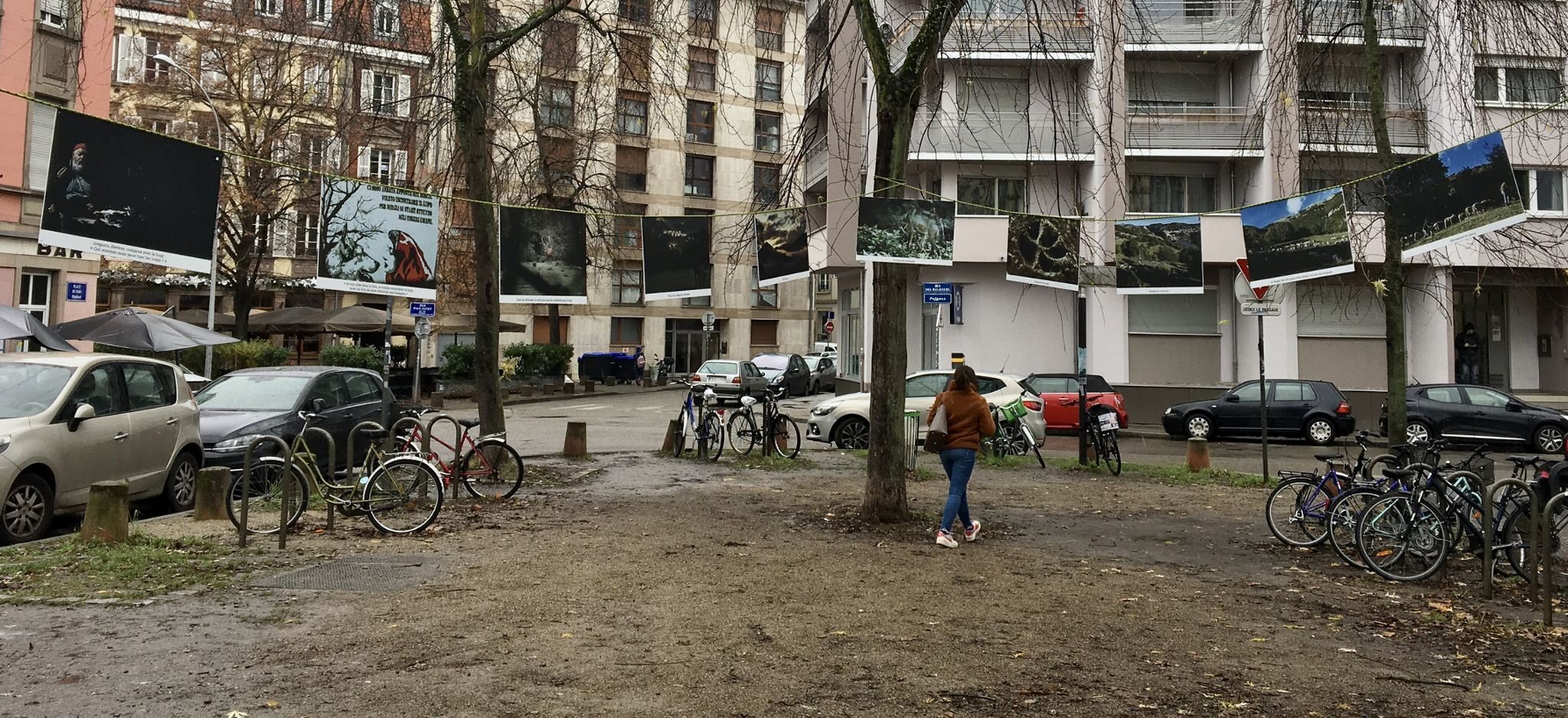 Place du Foin, le loup des Abruzzes par Abdesslam Mirdass