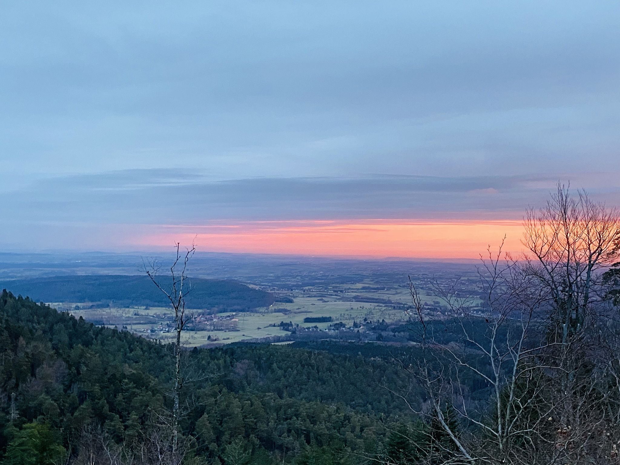 En Alsace, l’hiver doux ajoute une saison d’agriculture