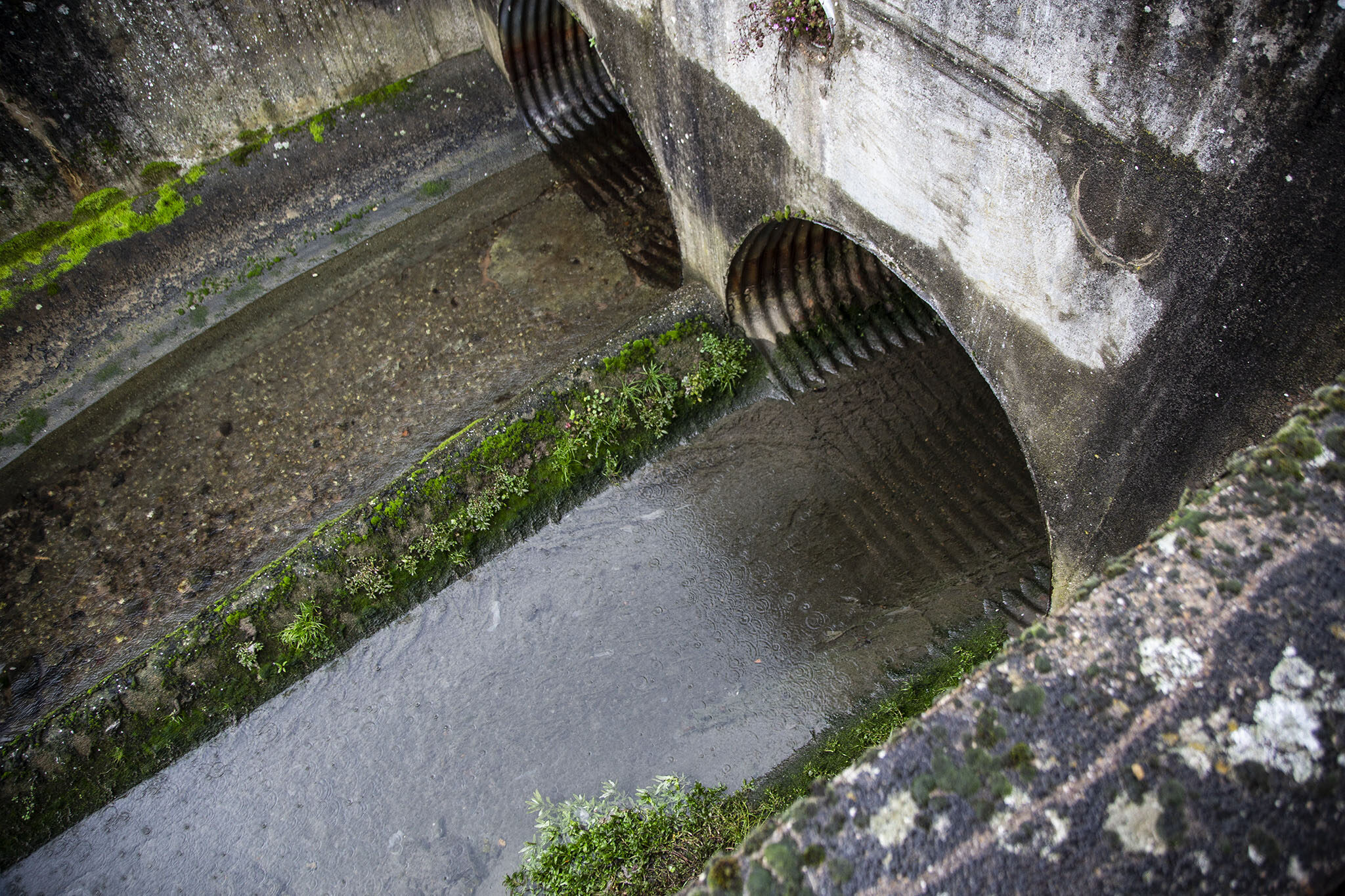 Comment la Fensch, affluent de la Moselle, est devenue un égout à ciel ouvert