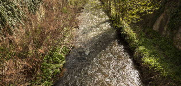Un quart des cours d’eau d’Alsace très pollués par les pesticides
