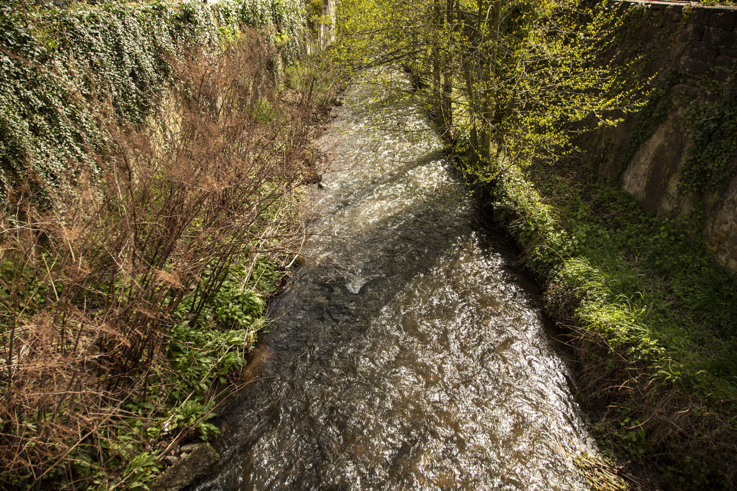 Un quart des cours d’eau d’Alsace très pollués par les pesticides