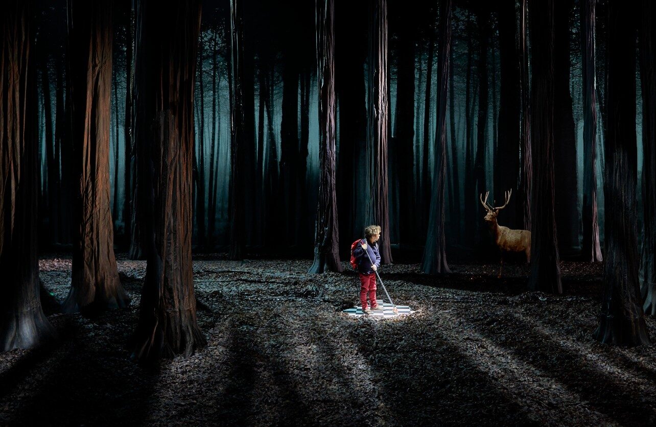 Le Bruit des loups, une promenade dans la forêt du magicien Étienne Saglio au Maillon