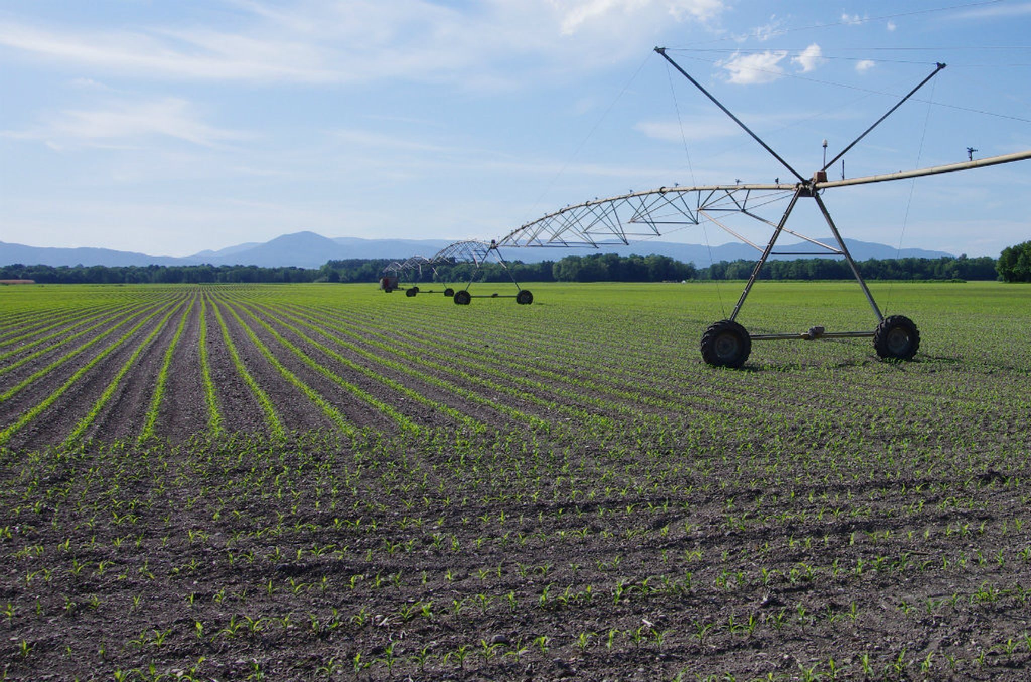 Sécheresse : face à l’irrigation massive dans le Ried, la préfecture fixe de nouvelles limites