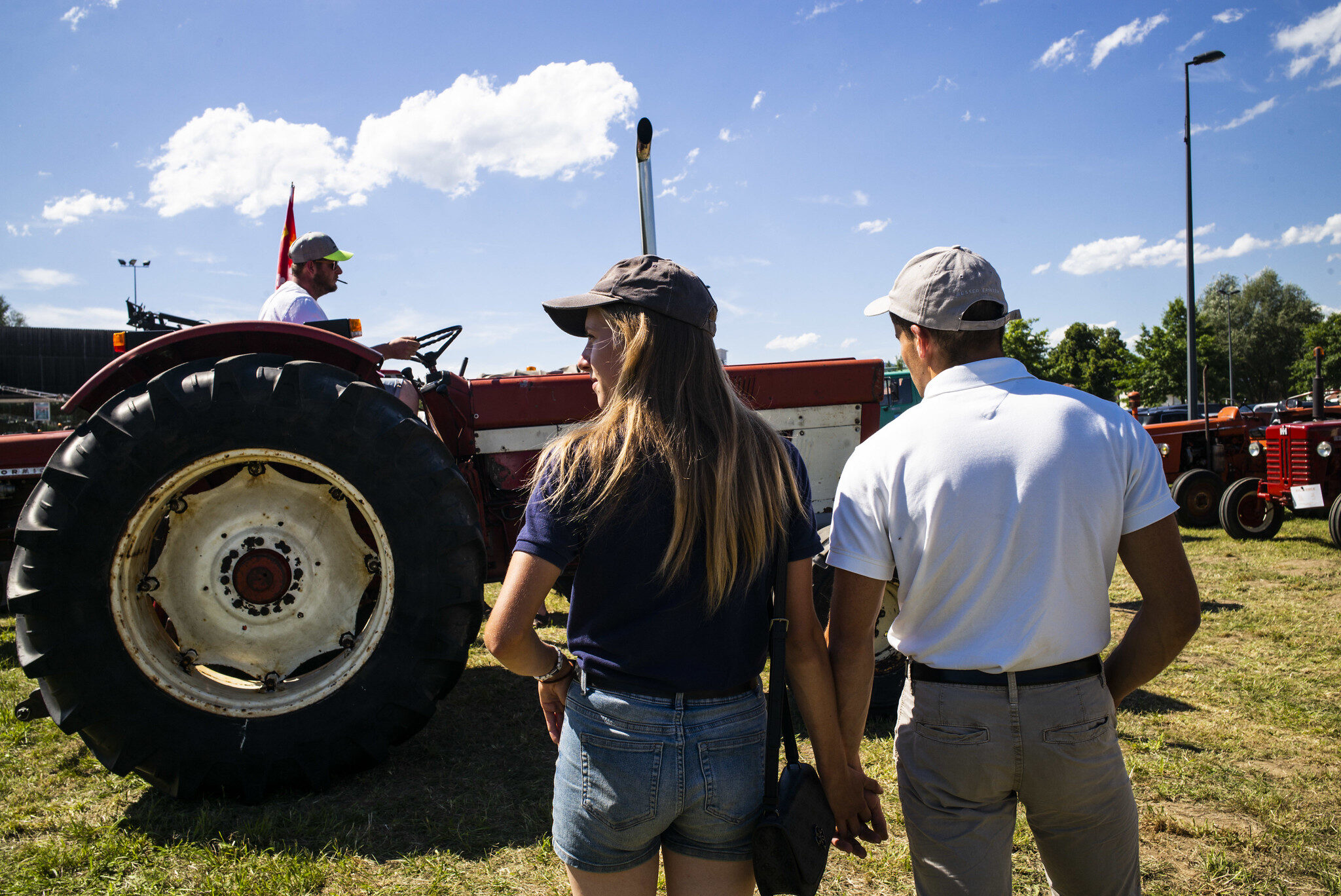 À Sélestat, les vieux tracteurs transmettent le souvenir de l’Alsace campagnarde