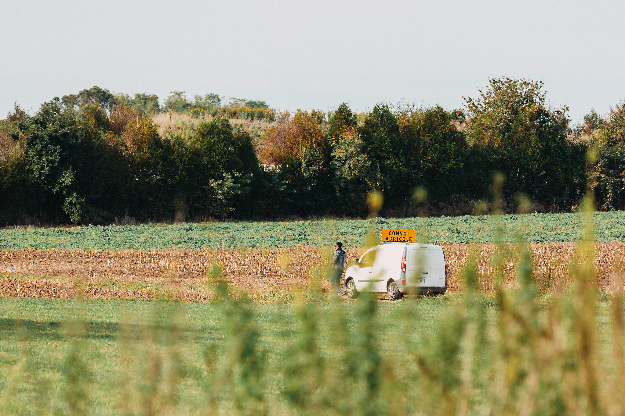 À la Chambre de l’agriculture du Grand-Est, beaucoup d’absentéisme et peu d’intérêt pour la bio