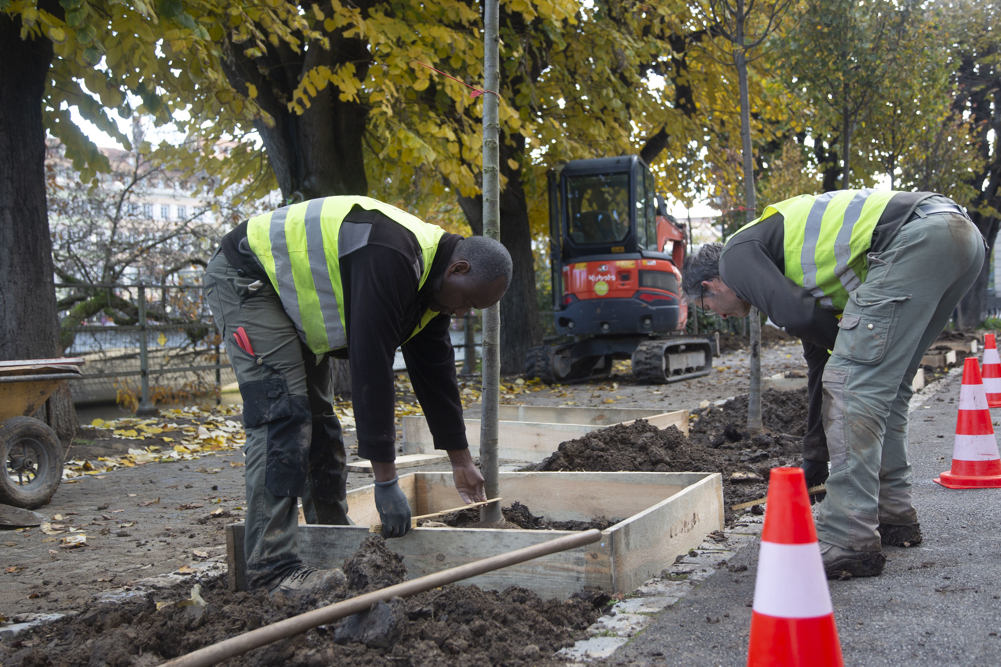 Plan canopée : la Ville compense les pertes de l’été et plante 1 000 arbres supplémentaires