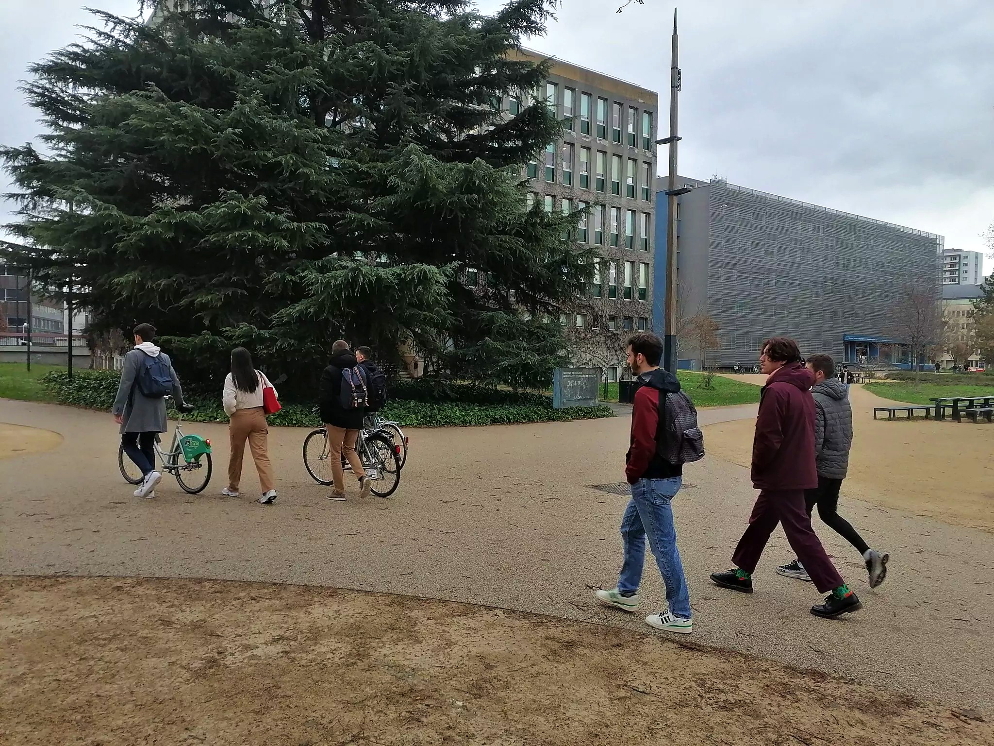 En janvier à Strasbourg, les étudiants entre vacances forcées et galères en bibliothèques