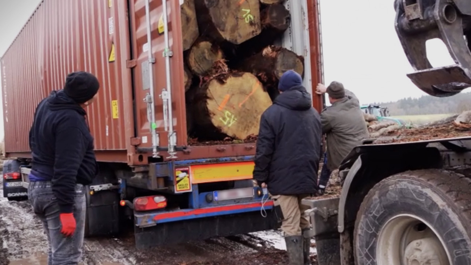 Infiltration au cœur du trafic illégal de bois entre la France et la Chine