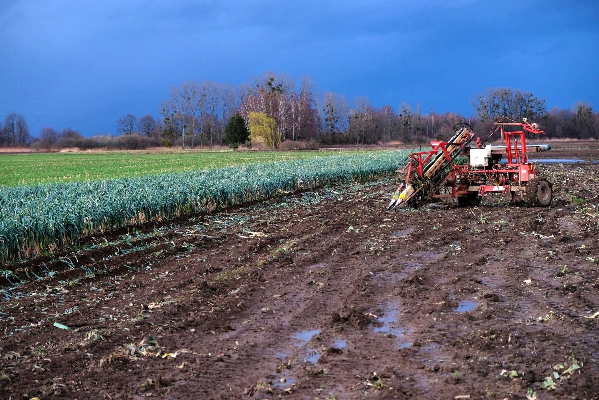 « Je ne sais rien » : les élus d’Alsace centrale dans le flou sur le projet hôtelier d’Europa Vallée