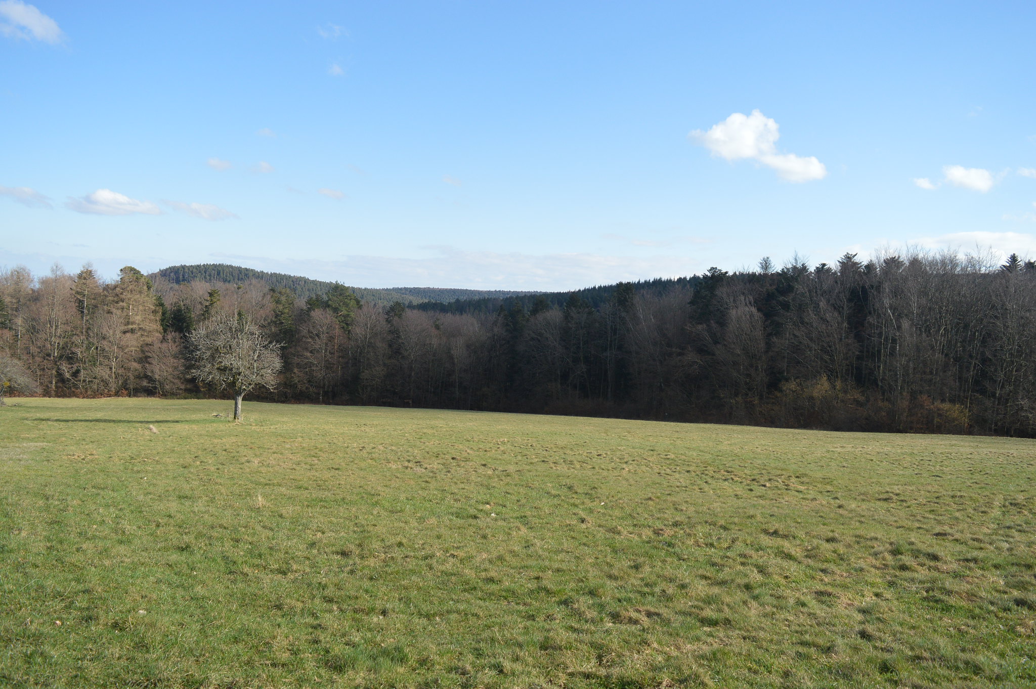 L’obscur financement public du Trail center de Wangenbourg