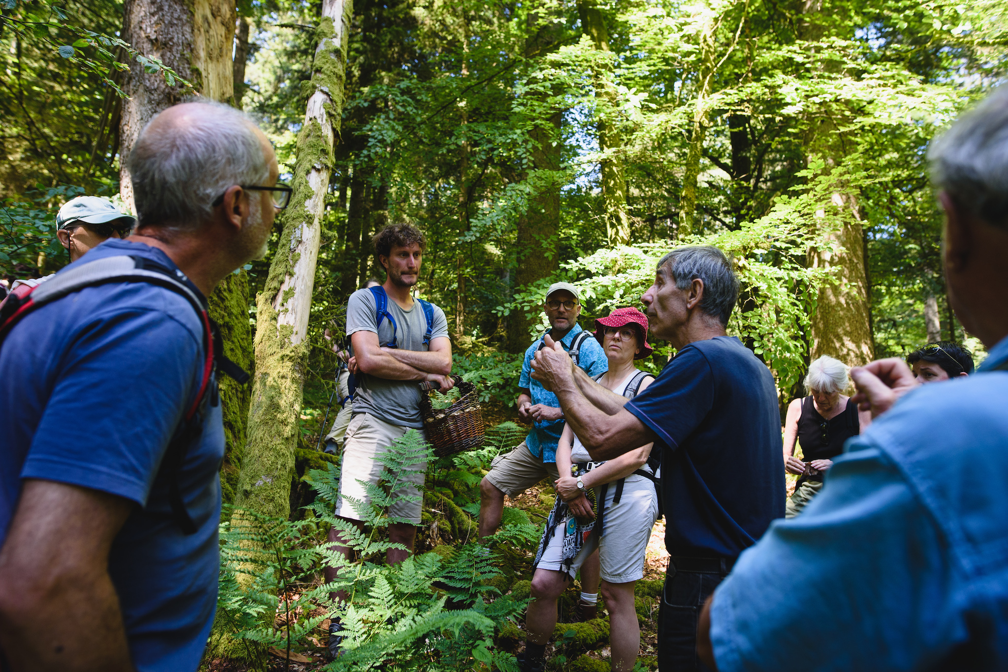 À la Grande-Fosse, les habitants s’emparent de la forêt communale